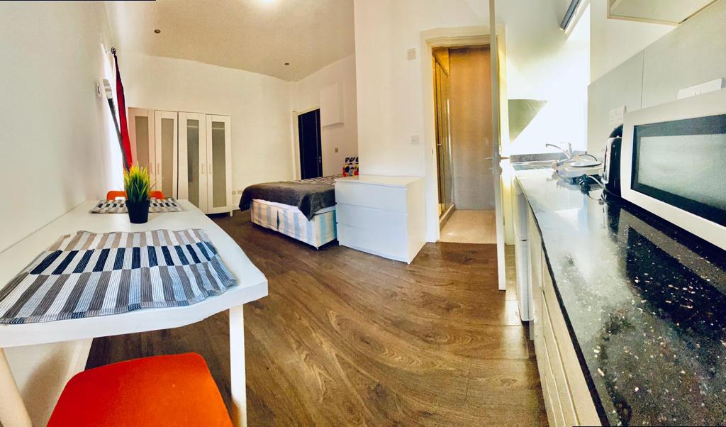 Modern Studio for Rent in Wembley, North London HA9 8EL 1