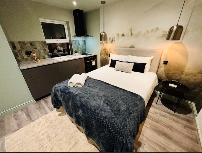 Contemporary Studio for Rent in Streatham, South London SW16 5RZ