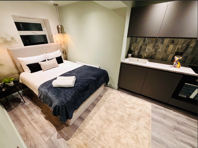 Stylish Studio for Rent in Streatham, South London SW16 5RZ