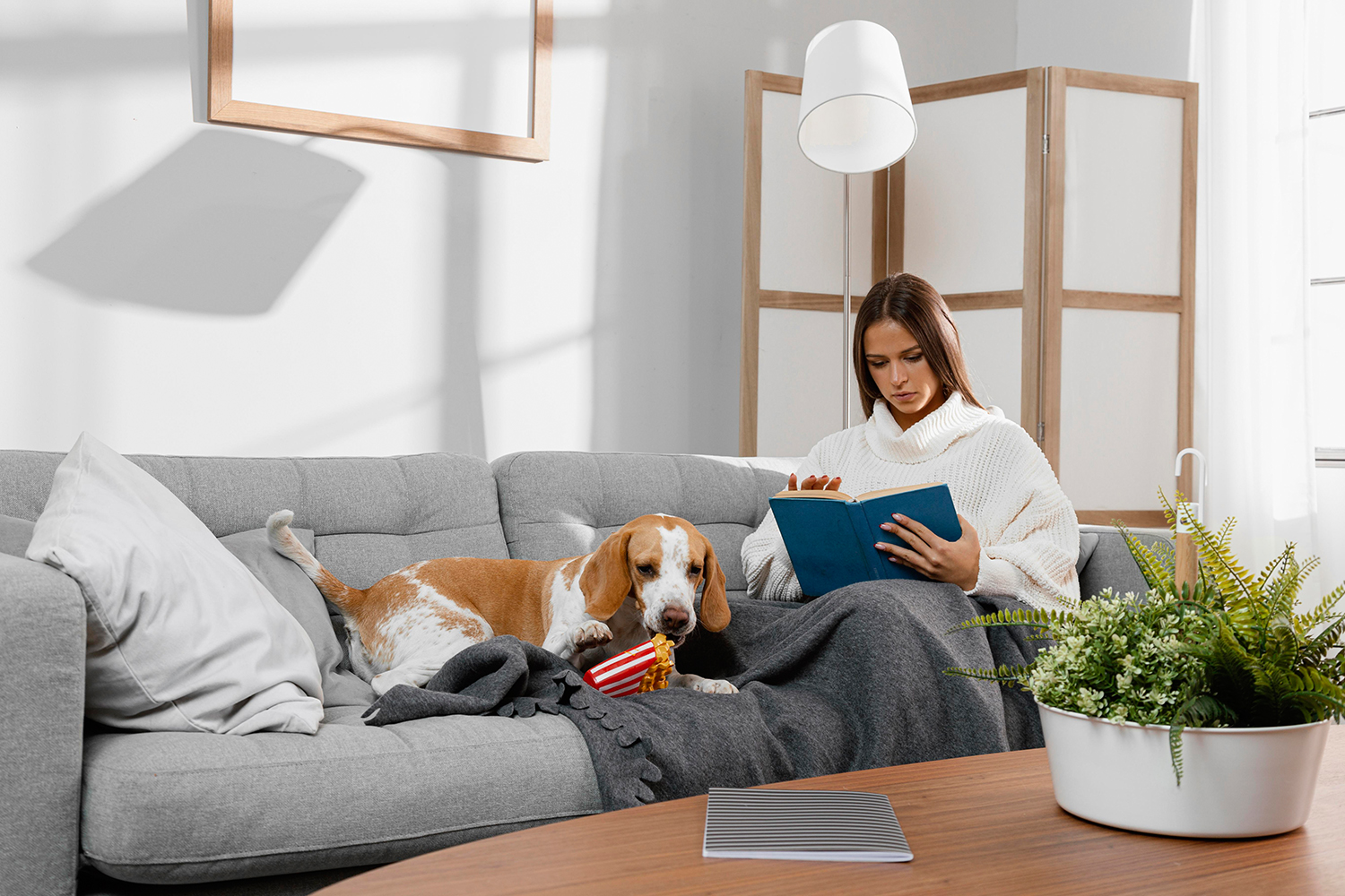 Finding Pet-Friendly Student Accommodation in the UK