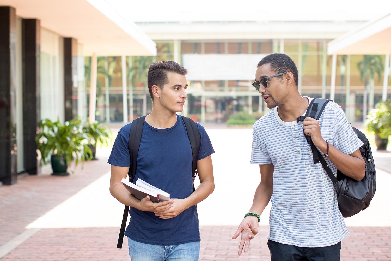 Studying in the USA: A Guide for Latin American Students