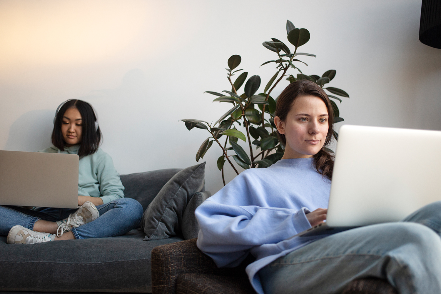 Living Alone vs. Living with Roommates