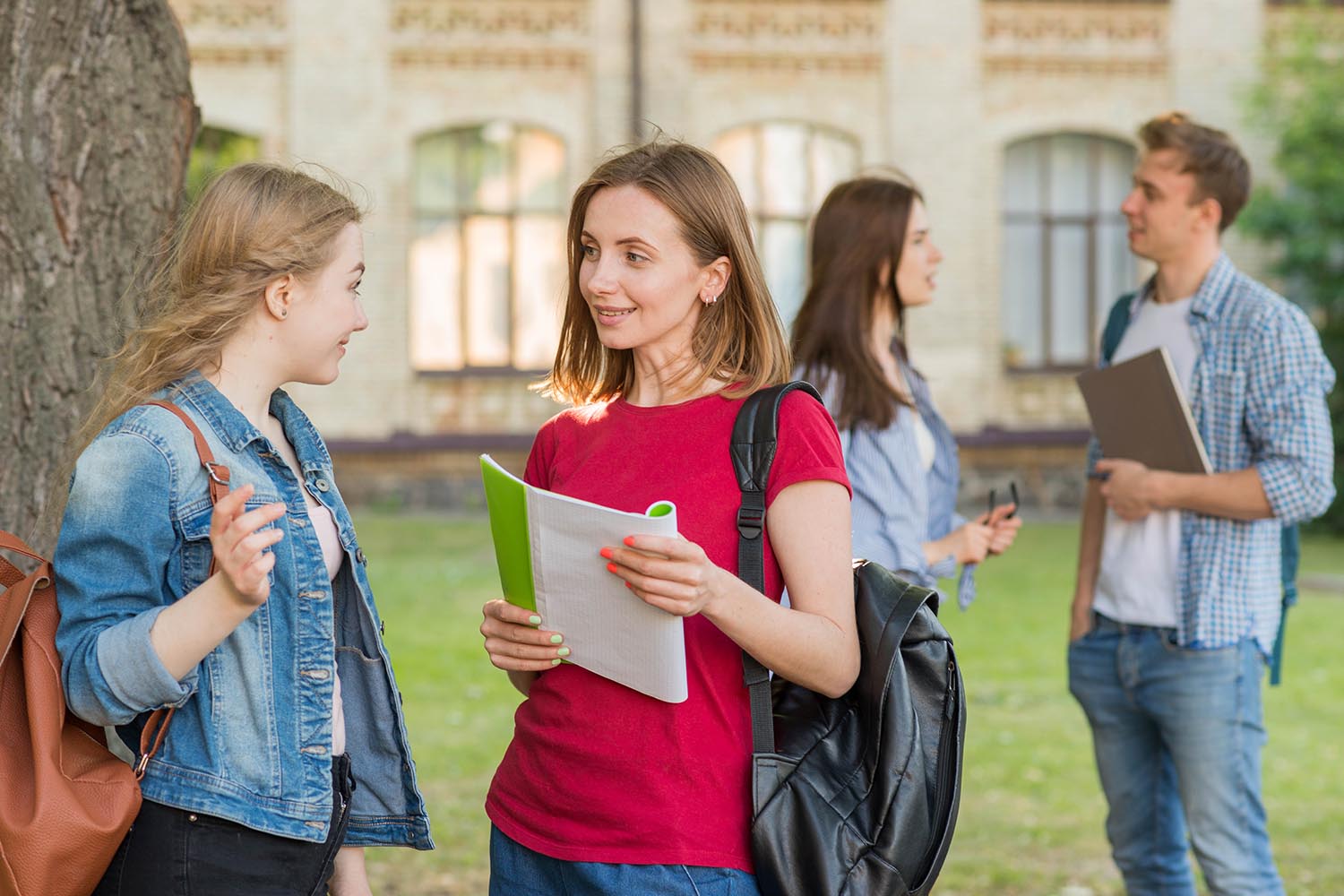 Studying in the USA: A Guide for European Students